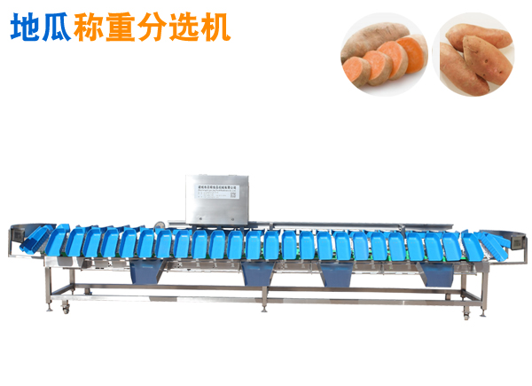 紅薯重量分選機(jī) 甘薯分揀機(jī) 地瓜選果機(jī) 紅薯稱重分選機(jī) 分級(jí)機(jī)